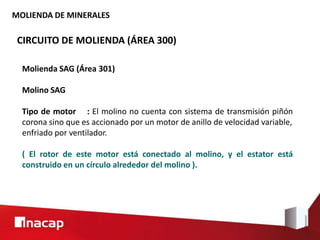 MOLIENDA DE MINERALES
CIRCUITO DE MOLIENDA (ÁREA 300)
Molienda SAG (Área 301)
Molino SAG
Tipo de motor : El molino no cuenta con sistema de transmisión piñón
corona sino que es accionado por un motor de anillo de velocidad variable,
enfriado por ventilador.
( El rotor de este motor está conectado al molino, y el estator está
construido en un círculo alrededor del molino ).
 