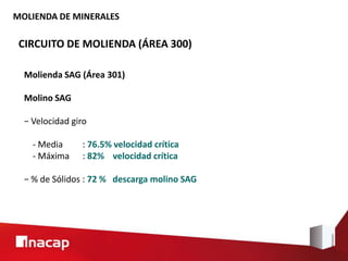 MOLIENDA DE MINERALES
CIRCUITO DE MOLIENDA (ÁREA 300)
Molienda SAG (Área 301)
Molino SAG
− Velocidad giro
- Media : 76.5% velocidad crítica
- Máxima : 82% velocidad crítica
− % de Sólidos : 72 % descarga molino SAG
 