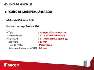 MOLIENDA DE MINERALES
CIRCUITO DE MOLIENDA (ÁREA 300)
Molienda SAG (Área 301)
Harnero descarga Molino SAG:
− Tipo : Harnero vibratorio plano
− Dimensiones : 12’ x 24’ doble bandeja
− Cantidad : 2 (1 operando, 1 stand by)
− Abertura : 19 mm
− Tipo de malla : Poliuretano
− Bajo tamaño harnero (T80) : 7.6 mm
 
