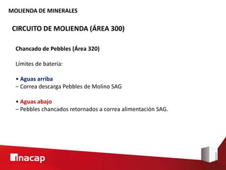 MOLIENDA DE MINERALES
CIRCUITO DE MOLIENDA (ÁREA 300)
Chancado de Pebbles (Área 320)
Límites de batería:
• Aguas arriba
− Correa descarga Pebbles de Molino SAG
• Aguas abajo
− Pebbles chancados retornados a correa alimentación SAG.
 