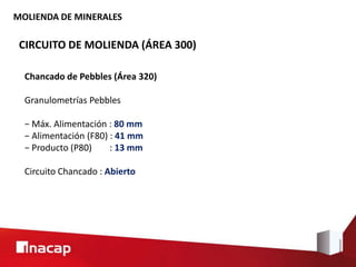 MOLIENDA DE MINERALES
CIRCUITO DE MOLIENDA (ÁREA 300)
Chancado de Pebbles (Área 320)
Granulometrías Pebbles
− Máx. Alimentación : 80 mm
− Alimentación (F80) : 41 mm
− Producto (P80) : 13 mm
Circuito Chancado : Abierto
 