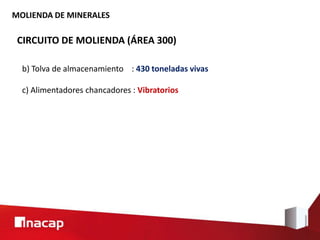 MOLIENDA DE MINERALES
CIRCUITO DE MOLIENDA (ÁREA 300)
b) Tolva de almacenamiento : 430 toneladas vivas
c) Alimentadores chancadores : Vibratorios
 