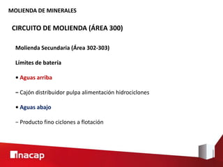 MOLIENDA DE MINERALES
CIRCUITO DE MOLIENDA (ÁREA 300)
Molienda Secundaria (Área 302-303)
Límites de batería
• Aguas arriba
− Cajón distribuidor pulpa alimentación hidrociclones
• Aguas abajo
− Producto fino ciclones a flotación
 