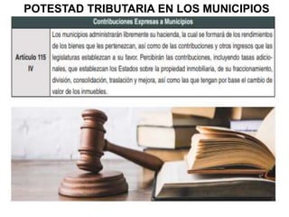 POTESTAD TRIBUTARIA EN LOS MUNICIPIOS
 