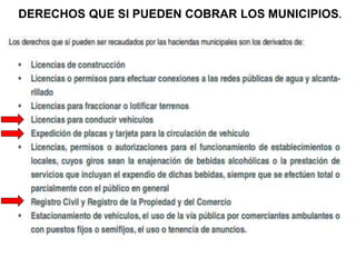 DERECHOS QUE SI PUEDEN COBRAR LOS MUNICIPIOS.
 