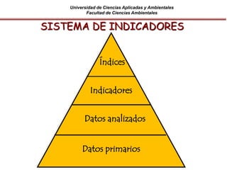 Universidad de Ciencias Aplicadas y Ambientales
Facultad de Ciencias Ambientales
SISTEMA DE INDICADORES
Datos primarios
Datos analizados
Indicadores
Índices
 