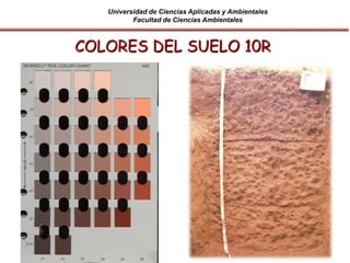 Universidad de Ciencias Aplicadas y Ambientales
Facultad de Ciencias Ambientales
COLORES DEL SUELO 10R
 