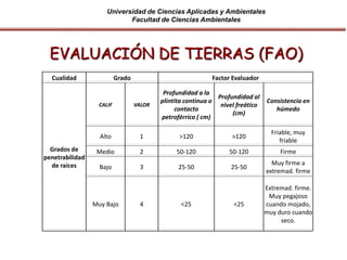 Universidad de Ciencias Aplicadas y Ambientales
Facultad de Ciencias Ambientales
Cualidad Grado Factor Evaluador
Grados de
penetrabilidad
de raíces
CALIF VALOR
Profundidad a la
plintita continua o
contacto
petroférrico ( cm)
Profundidad al
nivel freático
(cm)
Consistencia en
húmedo
Alto 1 >120 >120
Friable, muy
friable
Medio 2 50-120 50-120 Firme
Bajo 3 25-50 25-50
Muy firme a
extremad. firme
Muy Bajo 4 <25 <25
Extremad. firme.
Muy pegajoso
cuando mojado,
muy duro cuando
seco.
EVALUACIÓN DE TIERRAS (FAO)
 
