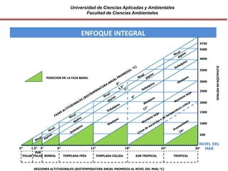 Universidad de Ciencias Aplicadas y Ambientales
Facultad de Ciencias Ambientales
ENFOQUE INTEGRAL
POSICION DE LA FAJA BASAL
30°24°18°12°6°3°1.5°0°
REGIONES ALTITUDINALES (BIOTEMPERATURA ANUAL PROMEDIA AL NIVEL DEL MAR, °C)
TROPICALSUB TROPICALTEMPLADA CÁLIDATEMPLADA FRÍABOREAL
SUB
POLARPOLAR
NIVEL DEL
MAR
500
1000
1500
2000
2500
3000
3500
4000
4500
4750
ELEVACIÓNENMETROS
 