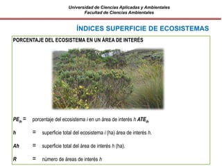 Universidad de Ciencias Aplicadas y Ambientales
Facultad de Ciencias Ambientales
PORCENTAJE DEL ECOSISTEMA EN UN ÁREA DE INTERÉS
PEih = porcentaje del ecosistema i en un área de interés h ATEih
h = superficie total del ecosistema i (ha) área de interés h.
Ah = superficie total del área de interés h (ha).
R = número de áreas de interés h
ÍNDICES SUPERFICIE DE ECOSISTEMAS
 