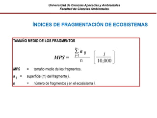 Universidad de Ciencias Aplicadas y Ambientales
Facultad de Ciencias Ambientales
TAMAÑO MEDIO DE LOS FRAGMENTOS
MPS = tamaño medio de los fragmentos.
a ij = superficie (m) del fragmento j.
n = número de fragmentos j en el ecosistema i.
ÍNDICES DE FRAGMENTACIÓN DE ECOSISTEMAS
MPS =
j=1
n
 a ij
n
1
10,000
 