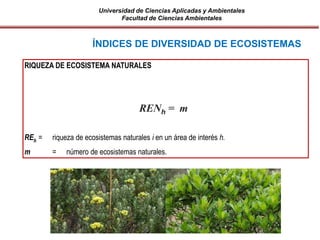 Universidad de Ciencias Aplicadas y Ambientales
Facultad de Ciencias Ambientales
RIQUEZA DE ECOSISTEMA NATURALES
REh = riqueza de ecosistemas naturales i en un área de interés h.
m = número de ecosistemas naturales.
ÍNDICES DE DIVERSIDAD DE ECOSISTEMAS
RENh = m
 