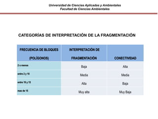 Universidad de Ciencias Aplicadas y Ambientales
Facultad de Ciencias Ambientales
FRECUENCIA DE BLOQUES
(POLÍGONOS)
INTERPRETACIÓN DE
FRAGMENTACIÓN CONECTIVIDAD
2 o menos
Baja Alta
entre 2 y 10
Media Media
entre 10 y 15
Alta Baja
mas de 15
Muy alta Muy Baja
CATEGORÍAS DE INTERPRETACIÓN DE LA FRAGMENTACIÓN
 