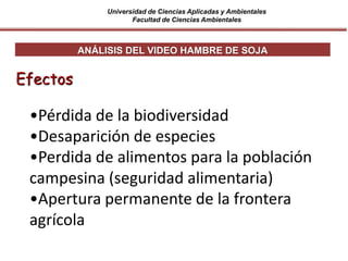 Universidad de Ciencias Aplicadas y Ambientales
Facultad de Ciencias Ambientales
ANÁLISIS DEL VIDEO HAMBRE DE SOJA
Efectos
•Pérdida de la biodiversidad
•Desaparición de especies
•Perdida de alimentos para la población
campesina (seguridad alimentaria)
•Apertura permanente de la frontera
agrícola
 