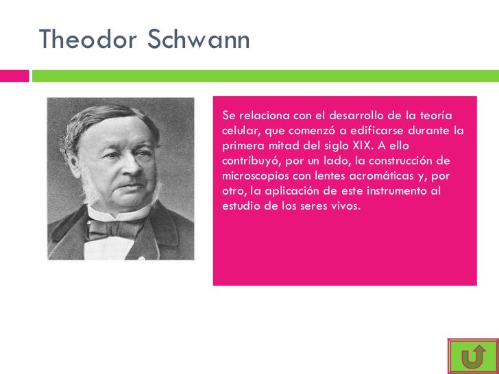 A Teoria Celular Proposta Por Schleiden E Schwann Afirma Que