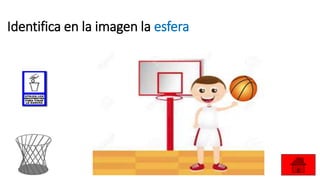 Identifica en la imagen la esfera
 