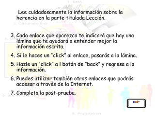 B-  Lee cuidadosamente la información sobre la herencia en la parte titulada Lección. Cada enlace que aparezca te indicará que hay una lámina que te ayudará a entender mejor la información escrita. Si le haces un “click” al enlace, pasarás a la lámina. Hazle un “click” a l botón de “back” y regresa a la información. Puedes utilizar también otros enlaces que podrás accesar a través de la Internet. Completa la post-prueba. 