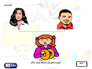 ¿Por qué María es pelirroja? Lección 