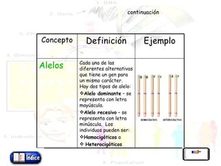 continuación Concepto Definición Ejemplo Alelos Cada una de las diferentes alternativas que tiene un gen para un mismo carácter.  Hay dos tipos de alelo: Alelo dominante  – se representa con letra mayúscula. Alelo recesivo  – se representa con letra minúscula.  Los individuos pueden ser: Homocigóticos  o Heterocigóticos 