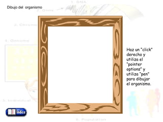 Dibujo del  organismo Haz un “click” derecho y utiliza el “pointer options” y utiliza “pen” para dibujar el organismo. 