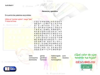 Y Q J V H N Q M J H S D D K Y Q E Q F I Z W S T E J A Z P R D I E I B F K H I T L L H I T E I Q F R S V G K E L O D Z G T B X X I D W R L R M N Q P L N X B V D R V O E O A U I H A A M O S O M O R C C M X E V U N V U A G J S I I I E Z S K N I U O L D A G T V G U S Y O W M Z N N B O E O R O S T I X K O E Q R T N I B D T X L O V J D A U I E O M Z R O W N K X O U I C G H E R E N C I A P Q Z O O N L H B I U I S E N E G S O Q E E N Y Y Z P C M O R Q F   Actividad 4     Herencia y genética     Encuentra las palabras escondidas  Utiliza el “pointer option”, luego “pen”  Y traza la línea alelo genes heterocigoto puro cromosoma genética híbrido recesivo dominante herencia homocigótico       ¿Qué color de ojos tendrán tus hijos? ¡DESCUBRELOS! 