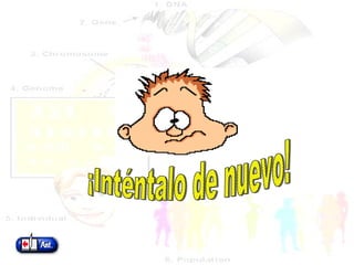 ¡Inténtalo de nuevo! 