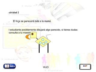 Actividad 2    1.        El hijo se parecerá más a la mamá.   El estudiante posiblemente dibujará algo parecido, si tienes dudas consulta a tu maestra (o).               HIJO 