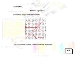 Actividad 4   Herencia y genética   Encuentra las palabras escondidas    Las oraciones serán variadas.  Favor de mostrárselas al maestro(a).   