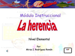 Módulo Instruccional Nivel Elemental Por:  Mirza I. Rodríguez Román La herencia 