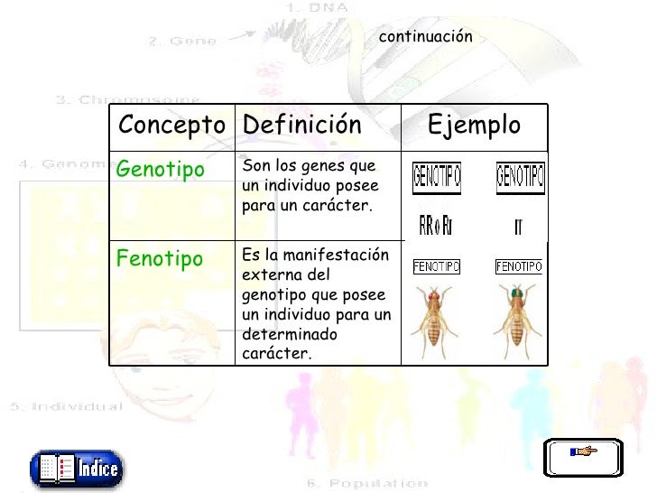Modulo Interactivo La Herencia