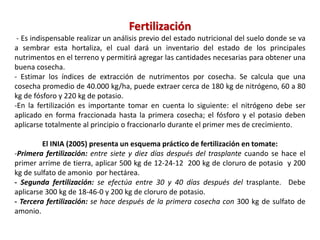 Fertilización
- Es indispensable realizar un análisis previo del estado nutricional del suelo donde se va
a sembrar esta hortaliza, el cual dará un inventario del estado de los principales
nutrimentos en el terreno y permitirá agregar las cantidades necesarias para obtener una
buena cosecha.
- Estimar los índices de extracción de nutrimentos por cosecha. Se calcula que una
cosecha promedio de 40.000 kg/ha, puede extraer cerca de 180 kg de nitrógeno, 60 a 80
kg de fósforo y 220 kg de potasio.
-En la fertilización es importante tomar en cuenta lo siguiente: el nitrógeno debe ser
aplicado en forma fraccionada hasta la primera cosecha; el fósforo y el potasio deben
aplicarse totalmente al principio o fraccionarlo durante el primer mes de crecimiento.
El INIA (2005) presenta un esquema práctico de fertilización en tomate:
-Primera fertilización: entre siete y diez días después del trasplante cuando se hace el
primer arrime de tierra, aplicar 500 kg de 12-24-12 200 kg de cloruro de potasio y 200
kg de sulfato de amonio por hectárea.
- Segunda fertilización: se efectúa entre 30 y 40 días después del trasplante. Debe
aplicarse 300 kg de 18-46-0 y 200 kg de cloruro de potasio.
- Tercera fertilización: se hace después de la primera cosecha con 300 kg de sulfato de
amonio.
 
