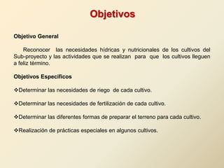Objetivos
Objetivo General
Reconocer las necesidades hídricas y nutricionales de los cultivos del
Sub-proyecto y las actividades que se realizan para que los cultivos lleguen
a feliz término.
Objetivos Específicos
Determinar las necesidades de riego de cada cultivo.
Determinar las necesidades de fertilización de cada cultivo.
Determinar las diferentes formas de preparar el terreno para cada cultivo.
Realización de prácticas especiales en algunos cultivos.
 