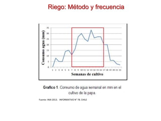 Riego: Método y frecuencia
Fuente: INIA 2013. INFORMATIVO N° 78. CHILE
 