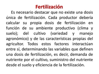 Fertilización
Es necesario destacar que no existe una dosis
única de fertilización. Cada productor debería
calcular su propia dosis de fertilización en
función de su ambiente productivo (clima y
suelo); del cultivo (variedad y manejo
agronómico) y de las características propias del
agricultor. Todos estos factores interactúan
entre sí, determinando las variables que definen
una dosis de fertilización, es decir, demanda de
nutriente por el cultivo, suministro del nutriente
desde el suelo y eficiencia de la fertilización.
 