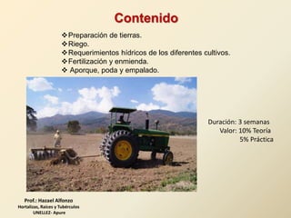 Preparación de tierras.
Riego.
Requerimientos hídricos de los diferentes cultivos.
Fertilización y enmienda.
 Aporque, poda y empalado.
Duración: 3 semanas
Valor: 10% Teoría
5% Práctica
Contenido
Prof.: Hazael Alfonzo
Hortalizas, Raíces y Tubérculos
UNELLEZ- Apure
 