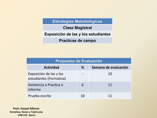 Prof.: Hazael Alfonzo
Hortalizas, Raíces y Tubérculos
UNELLEZ- Apure
Propuesta de Evaluación
Actividad % Semana de evaluación
Exposición de las y los
estudiantes (Formativa)
- 10
Asistencia a Practica e
Informe
6 11
Prueba escrita 10 11
Estrategias Metodológicas
Clase Magistral
Exposición de las y los estudiantes
Practicas de campo
 