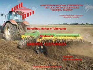 Hortalizas, Raíces y Tubérculos
Modulo IV
LABORES CULTURALES
Facilitador:
Prof. Hazael Alfonzo
San Fernando de Apure, Julio de 2.016
 