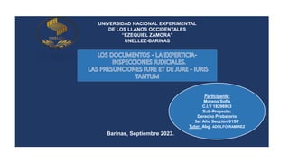 UNIVERSIDAD NACIONAL EXPERIMENTAL
DE LOS LLANOS OCCIDENTALES
“EZEQUIEL ZAMORA”
UNELLEZ-BARINAS
Participante:
Moreno Sofia
C.I.V 18296963
Sub-Proyecto:
Derecho Probatorio
3er Año Sección 01SP
Tutor: Abg. ADOLFO RAMIREZ
Barinas, Septiembre 2023.
 