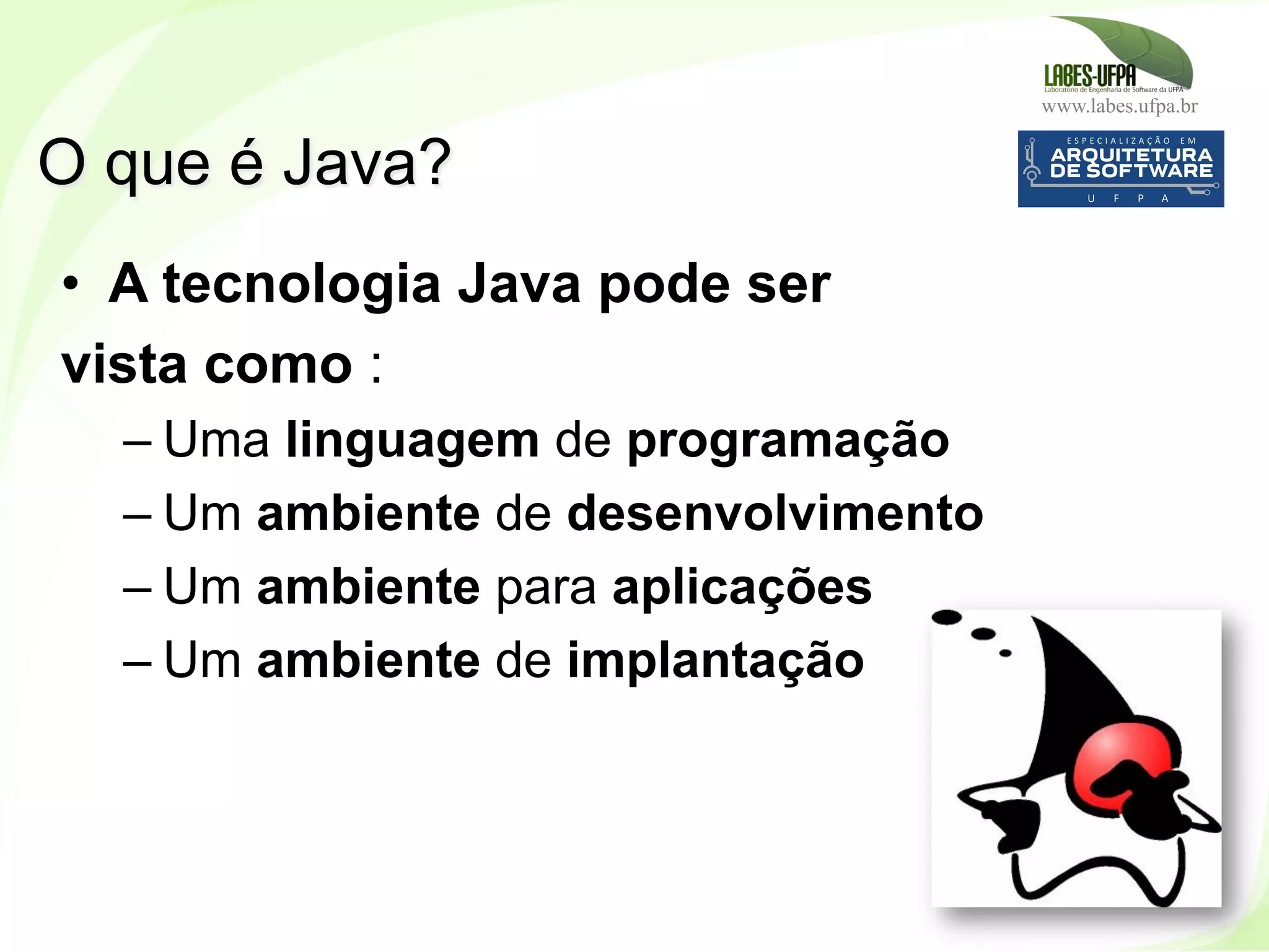 www.labes.ufpa.br
10
•  A tecnologia Java pode ser
vista como :
– Uma linguagem de programação
– Um ambiente de desenvolvimento
– Um ambiente para aplicações
– Um ambiente de implantação
O que é Java?
 