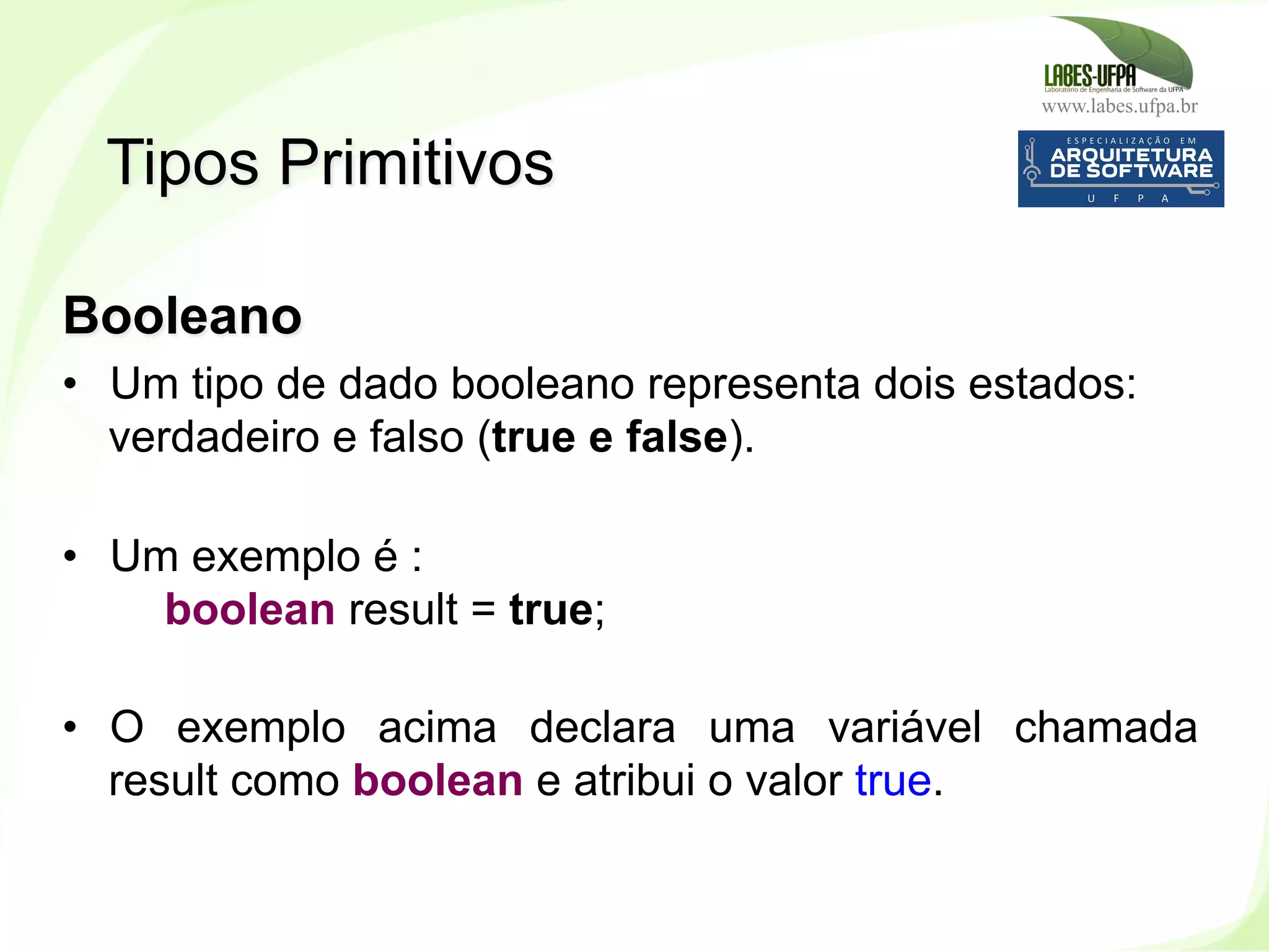 www.labes.ufpa.br
72
Booleano
•  Um tipo de dado booleano representa dois estados:
verdadeiro e falso (true e false).
•  Um exemplo é :
boolean result = true;
•  O exemplo acima declara uma variável chamada
result como boolean e atribui o valor true.
Tipos Primitivos
 