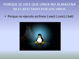 • Porque no ejecuta archivos (.exe) (.com) (.bat)
 