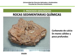 Universidad de Ciencias Aplicadas y Ambientales
Facultad de Ciencias Ambientales
2. PROCESOS GEOLÓGICOS
CALIZA
ROCAS SEDIMENTARIAS QUÍMICAS
Carbonato de calcio
En mares cálidos y
poco profundos
 