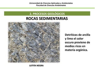 Universidad de Ciencias Aplicadas y Ambientales
Facultad de Ciencias Ambientales
2. PROCESOS GEOLÓGICOS
LUTITA NEGRA
ROCAS SEDIMENTARIAS
Detríticos de arcilla
y limo el color
oscuro proviene de
medios ricos en
materia orgánica.
 