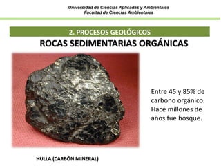 Universidad de Ciencias Aplicadas y Ambientales
Facultad de Ciencias Ambientales
2. PROCESOS GEOLÓGICOS
HULLA (CARBÓN MINERAL)
ROCAS SEDIMENTARIAS ORGÁNICAS
Entre 45 y 85% de
carbono orgánico.
Hace millones de
años fue bosque.
 