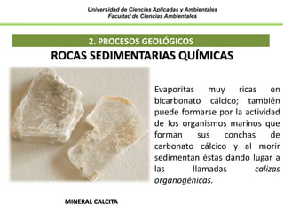 Universidad de Ciencias Aplicadas y Ambientales
Facultad de Ciencias Ambientales
2. PROCESOS GEOLÓGICOS
MINERAL CALCITA
ROCAS SEDIMENTARIAS QUÍMICAS
Evaporitas muy ricas en
bicarbonato cálcico; también
puede formarse por la actividad
de los organismos marinos que
forman sus conchas de
carbonato cálcico y al morir
sedimentan éstas dando lugar a
las llamadas calizas
organogénicas.
 