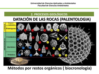 Universidad de Ciencias Aplicadas y Ambientales
Facultad de Ciencias Ambientales
2. PROCESOS GEOLÓGICOS
DATACIÓN DE LAS ROCAS (PALENTOLOGIA)
Métodos por restos orgánicos ( biocronología)
 