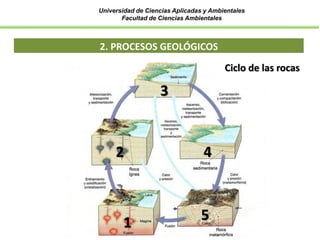 Universidad de Ciencias Aplicadas y Ambientales
Facultad de Ciencias Ambientales
2. PROCESOS GEOLÓGICOS
1 5
3
2 4
Ciclo de las rocas
 