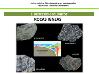 Universidad de Ciencias Aplicadas y Ambientales
Facultad de Ciencias Ambientales
2. PROCESOS GEOLÓGICOS
ROCAS IGNEAS
 