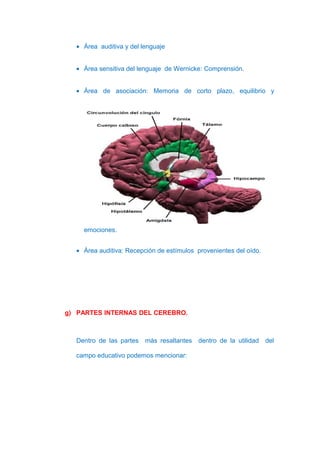 • Área auditiva y del lenguaje


  • Área sensitiva del lenguaje de Wernicke: Comprensión.


  • Área de asociación: Memoria de corto plazo, equilibrio y




    emociones.


  • Área auditiva: Recepción de estímulos provenientes del oído.




g) PARTES INTERNAS DEL CEREBRO.



  Dentro de las partes más resaltantes dentro de la utilidad       del

  campo educativo podemos mencionar:
 
