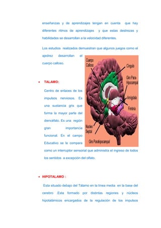 enseñanzas y de aprendizajes tengan en cuenta                      que hay

    diferentes ritmos de aprendizajes            y que estas destrezas y

    habilidades se desarrollan a la velocidad diferentes.


    Los estudios realizados demuestran que algunos juegos como el

    ajedrez     desarrollan      el

    cuerpo calloso.




•    TALAMO:

     Centro de enlaces de los

     impulsos    nerviosos.   Es

     una sustancia gris que

     forma la mayor parte del

     diencéfalo. Es una región

     gran             importancia

     funcional. En el campo

     Educativo se le compara

     como un interruptor sensorial que administra el ingreso de todos

     los sentidos a excepción del olfato.




• HIPOTALAMO :

    Esta situado debajo del Tálamo en la línea media en la base del

    cerebro   .Esta    formado        por   distintas   regiones   y    núcleos

    hipotalámicos encargados de la regulación de los impulsos
 